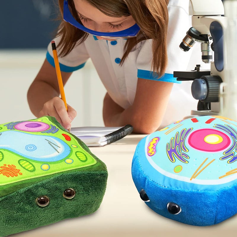 GIANT MICROBES Plant Cell Plush, Plant Cell Model, Anatomy Model, Plant Plush Toy, Cell Biology, Physiology, Biology Classroom Decor, Plant Anatomy - Image 3